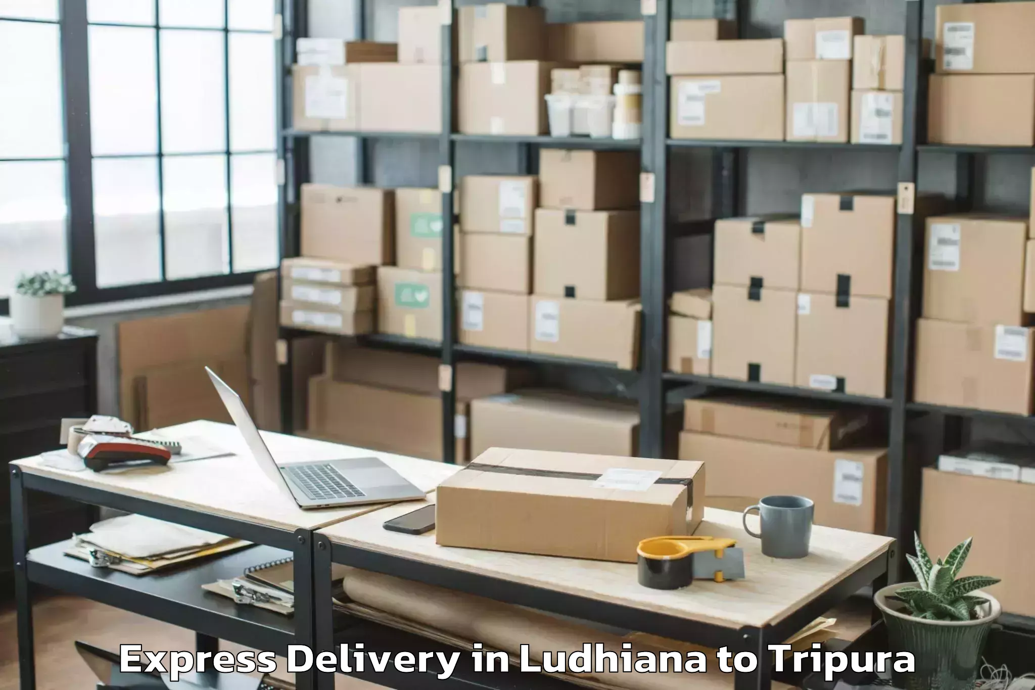 Book Ludhiana to Manu Bazar Express Delivery